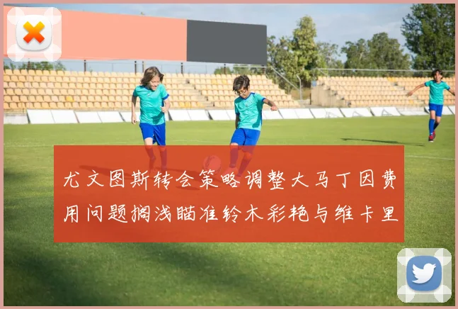 尤文图斯转会策略调整大马丁因费用问题搁浅瞄准铃木彩艳与维卡里奥