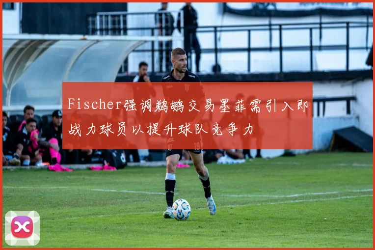Fischer强调鹈鹕交易墨菲需引入即战力球员以提升球队竞争力