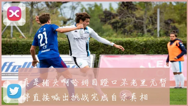 真是猪头啊哈姆目瞪口呆老里无暂停直接喊出挑战完成自杀真相