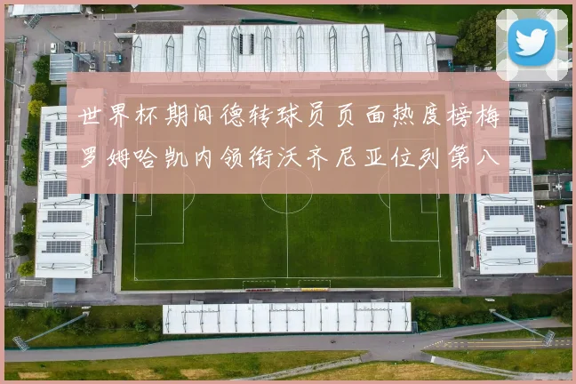 世界杯期间德转球员页面热度榜梅罗姆哈凯内领衔沃齐尼亚位列第八
